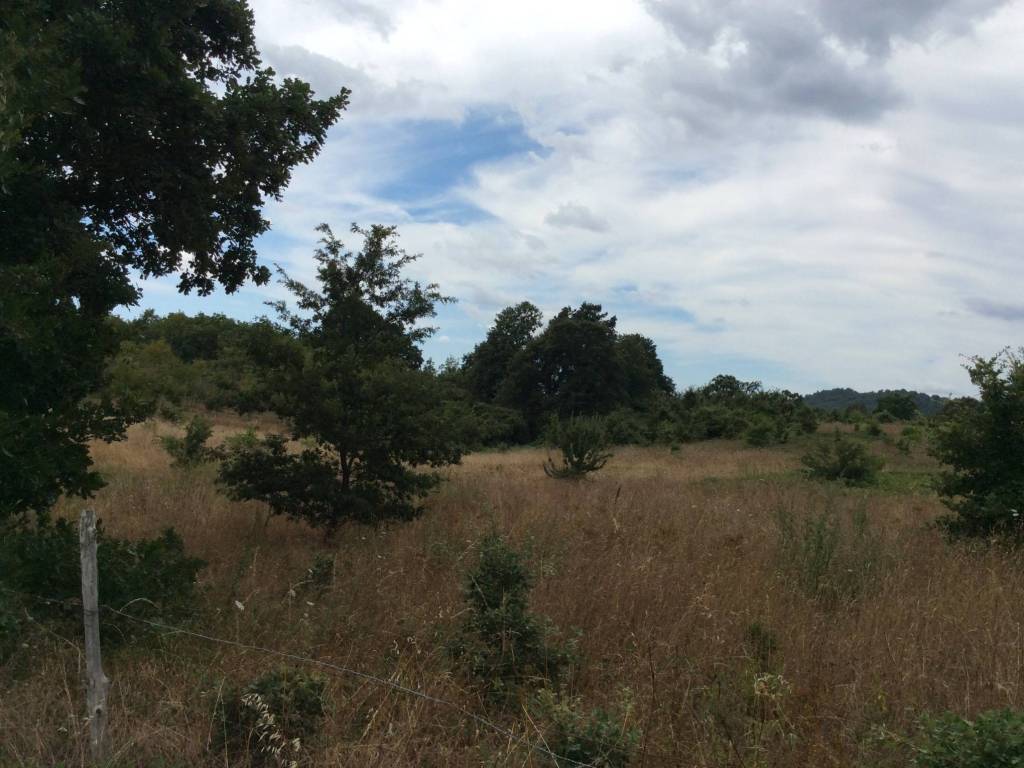 Terreno a Sorano in Case Sparse Valle Grottini - Foto 4