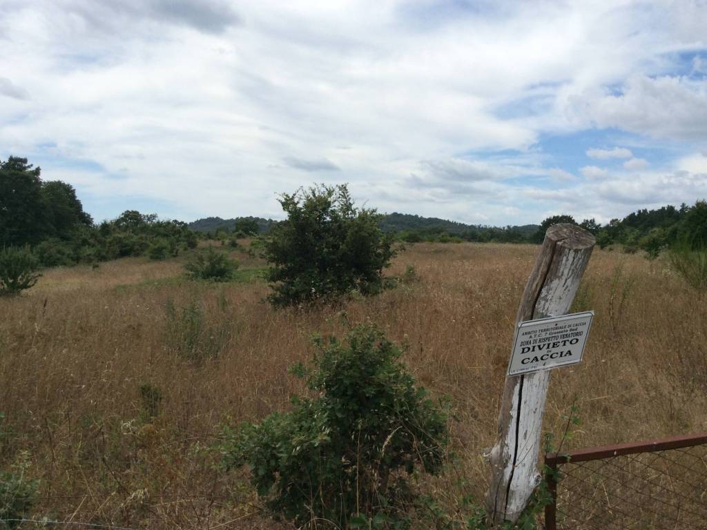 Terreno a Sorano in Case Sparse Valle Grottini - Foto 5