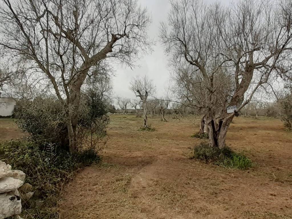 Terreno a Uggiano la chiesa in Strada Vicinale Uggiano Otranto - Foto 2