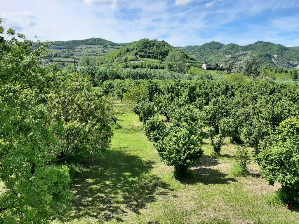 Rustico / casale a Cessole in Regione Goretta - Foto 3