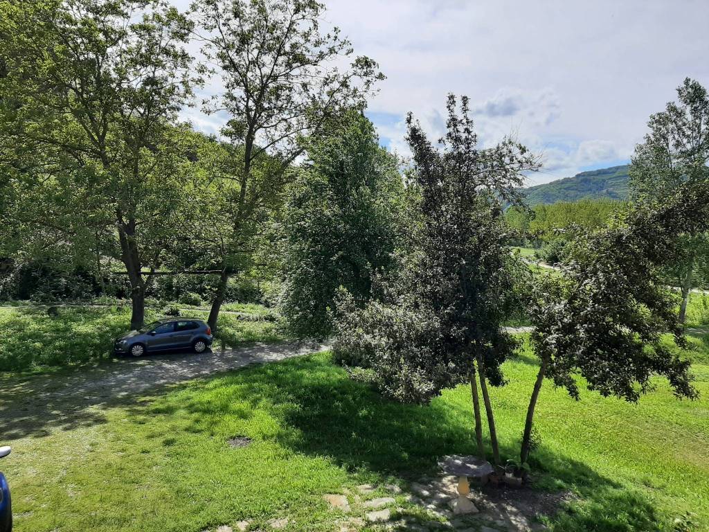 Rustico / casale a Cessole in Regione Goretta - Foto 4