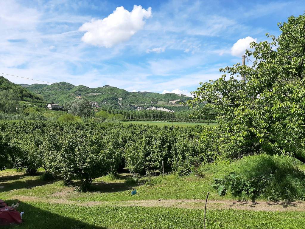 Rustico / casale a Cessole in Regione Goretta - Foto 5