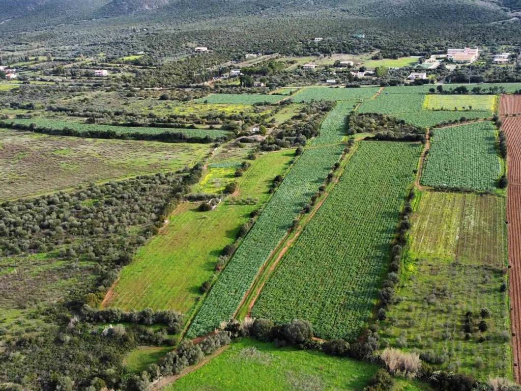 Terreno a Sant'anna arresi - Foto 2