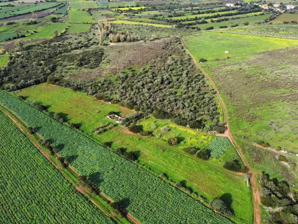 Terreno a Sant'anna arresi - Foto 3