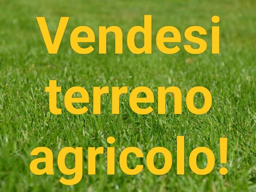 Terreno a Sarzana - Foto 2
