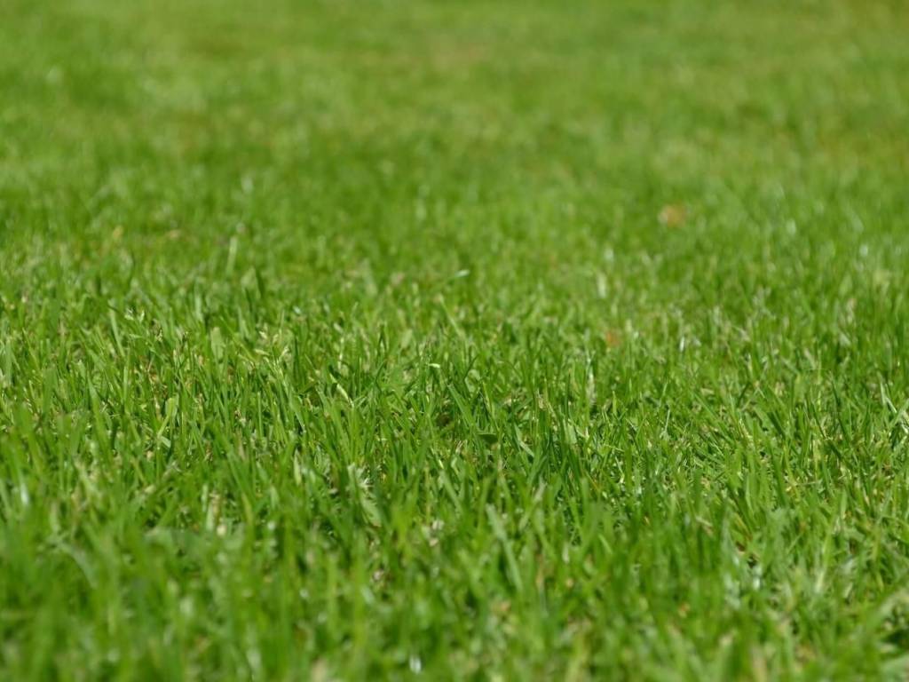 Terreno a Sarzana - Foto 3
