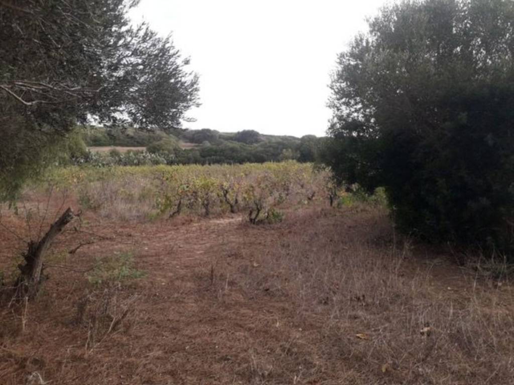 Villa a Stintino in Località Pozzo San Nicola S.N.C. - Foto 5