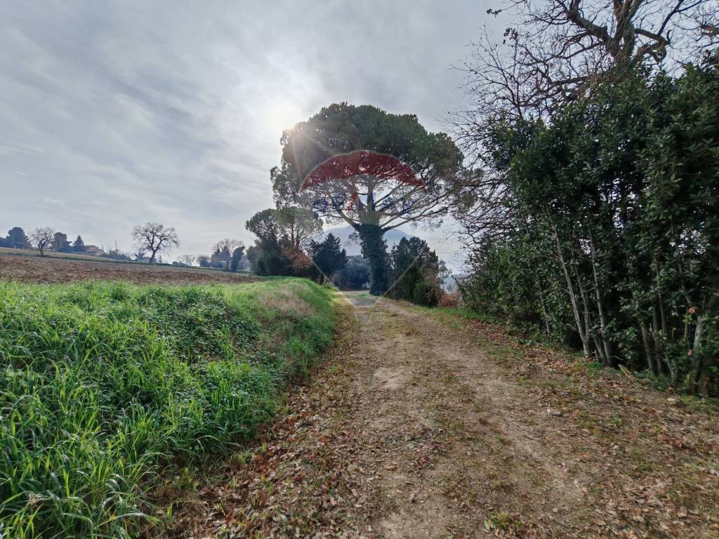 Rustico / casale a Recanati in contrada castelnuovo, 114 - Foto 2