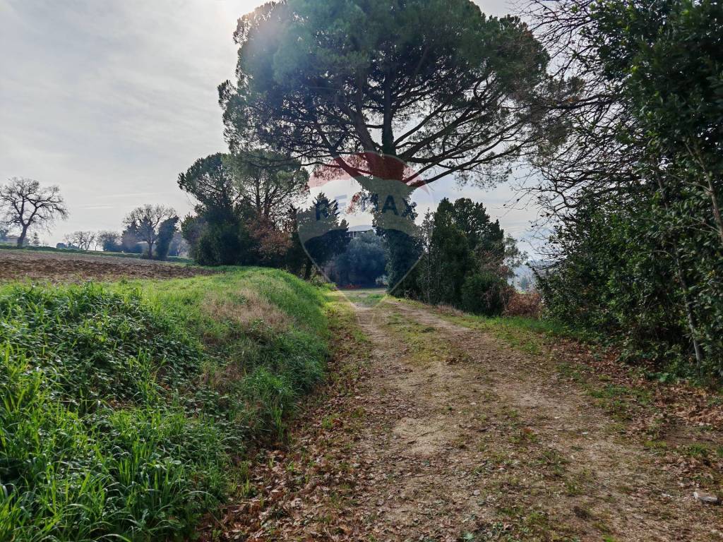 Rustico / casale a Recanati in contrada castelnuovo, 114 - Foto 3