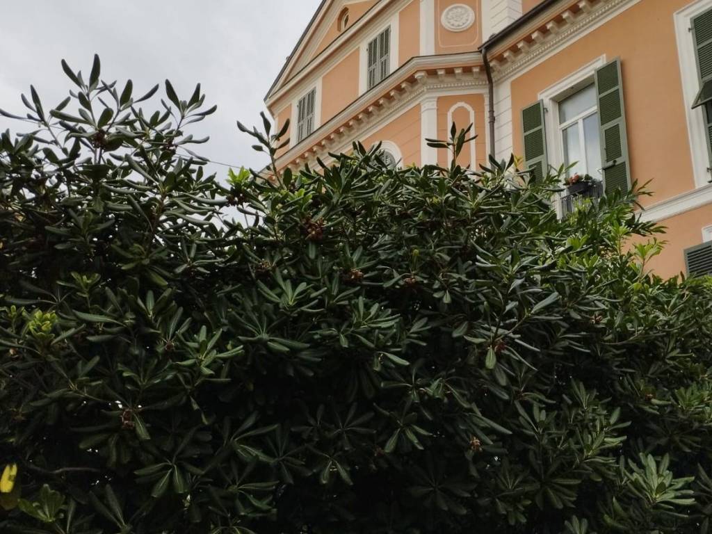 Appartamento a Bordighera in Via Vittorio Emanuele II, 216 - Foto 2