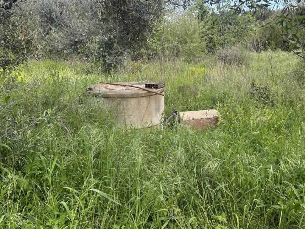 Rustico / casale a Piombino - Foto 5