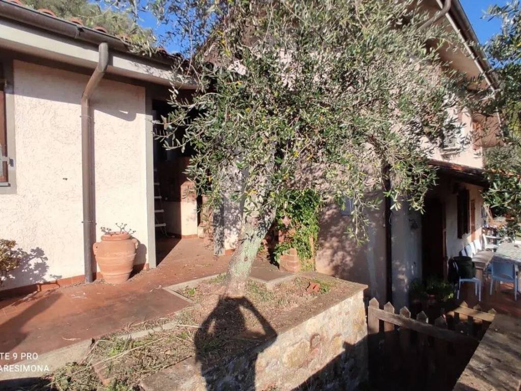 Rustico / casale a Camaiore in Via Di Buchignano S.N.C. - Foto 2