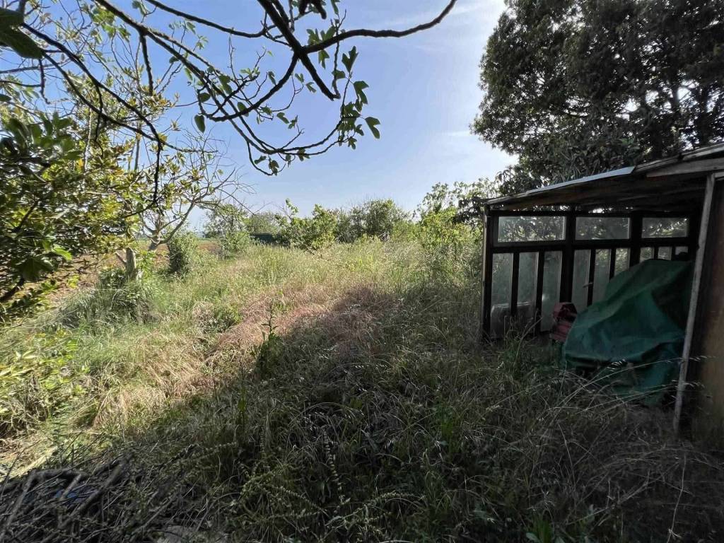 Rustico / casale a Campiglia marittima - Foto 4