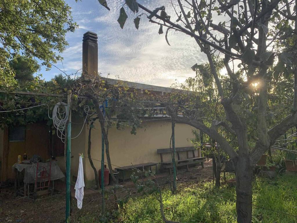 Rustico / casale a Piombino - Foto 2