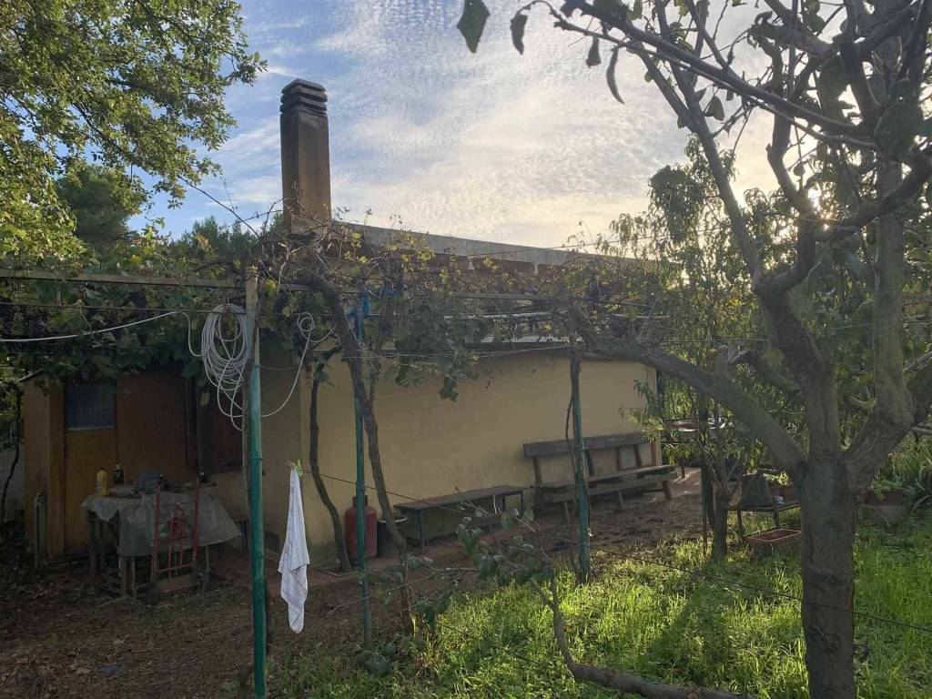 Rustico / casale a Piombino - Foto 3