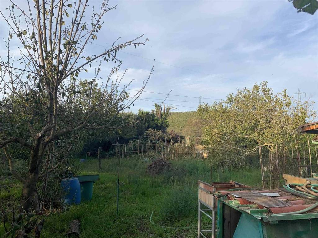 Rustico / casale a Piombino - Foto 4