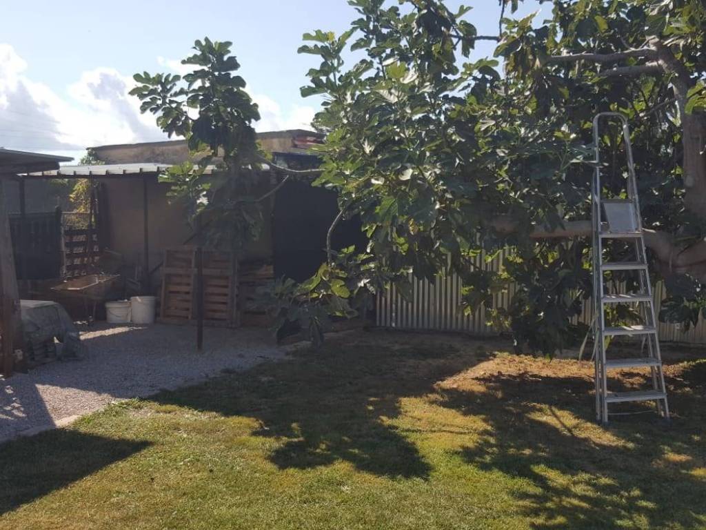 Casa indipendente a Piombino - Foto 4