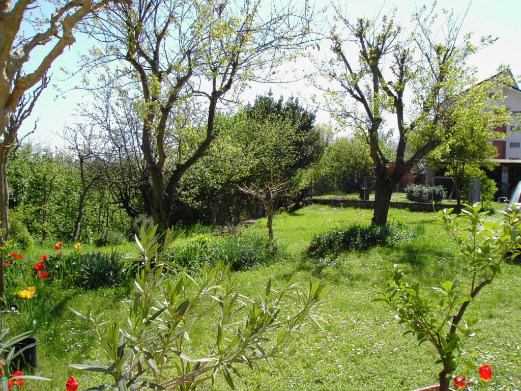 Rustico / casale a Viarigi in Frazione Accorneri Collina, 36 - Foto 3