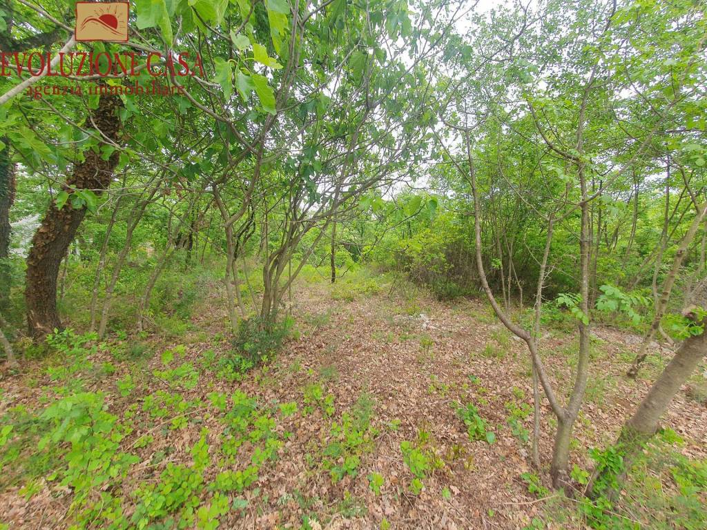 Terreno a Sagrado in androna campolongo - Foto 2