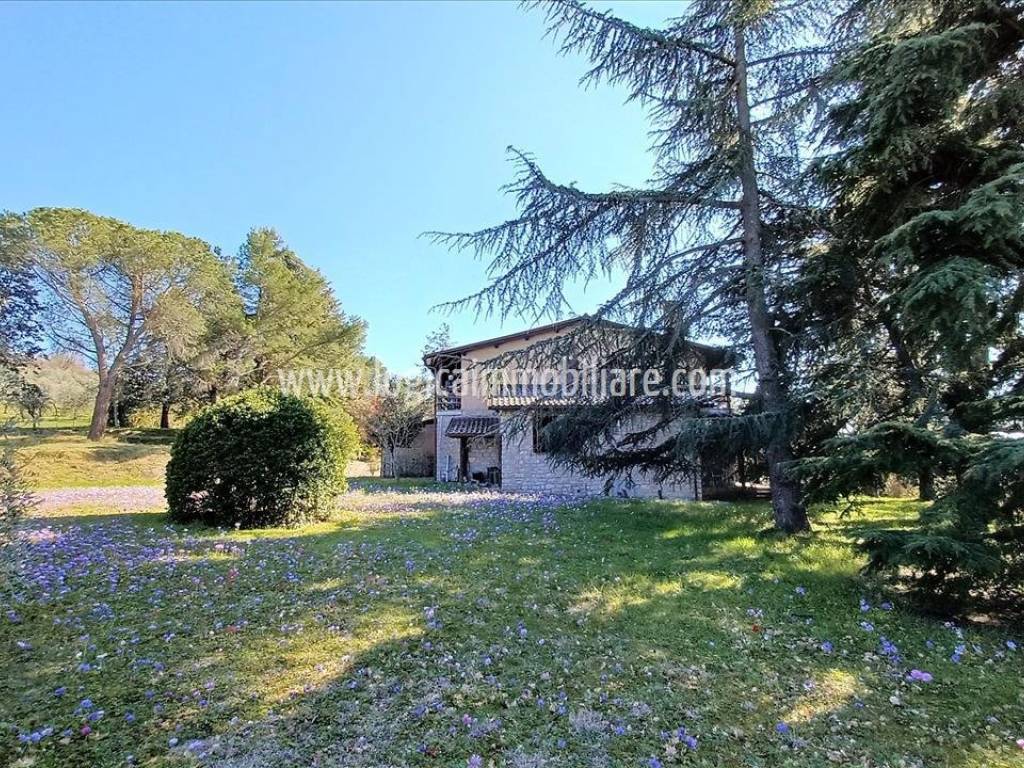 Villa a Paciano in Via della Libertà - Foto 4