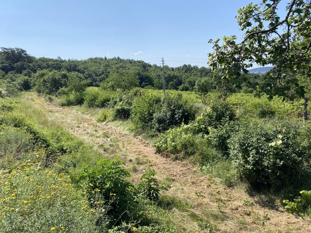 Terreno a Sgonico in Località Sagrado - Foto 2