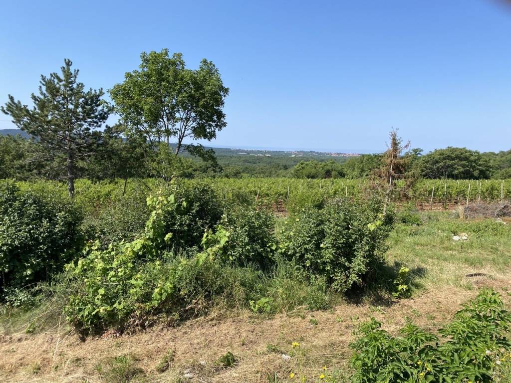 Terreno a Sgonico in Località Sagrado - Foto 3