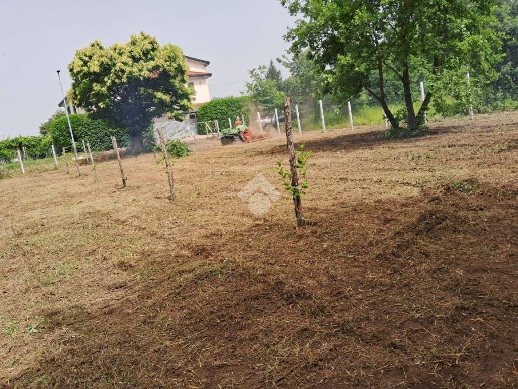 Terreno a Telese terme in Via Vomero - Foto 2