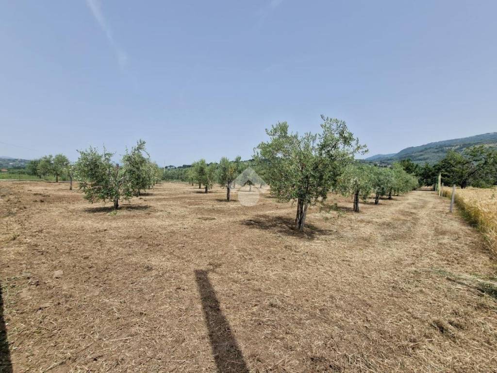 Terreno a Sant'agata de' goti in Via Faggiano - Foto 2