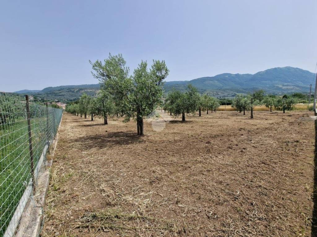 Terreno a Sant'agata de' goti in Via Faggiano - Foto 3