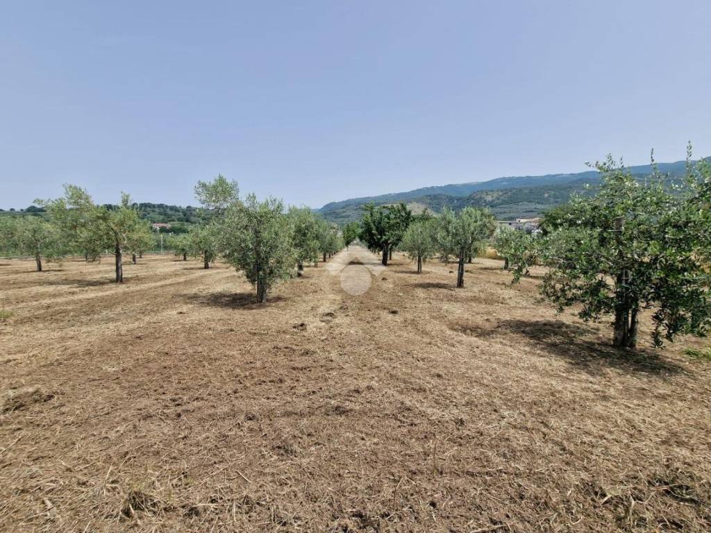 Terreno a Sant'agata de' goti in Via Faggiano - Foto 4