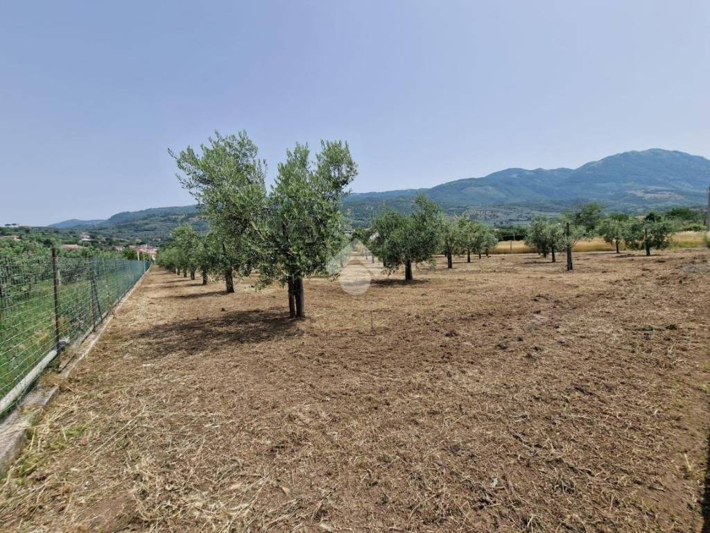 Terreno a Sant'agata de' goti in Via Faggiano - Foto 5