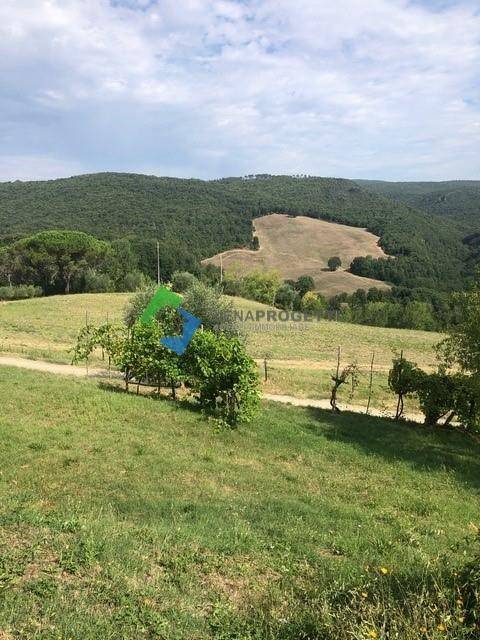 Rustico / casale a San gimignano in SP47 - Foto 4