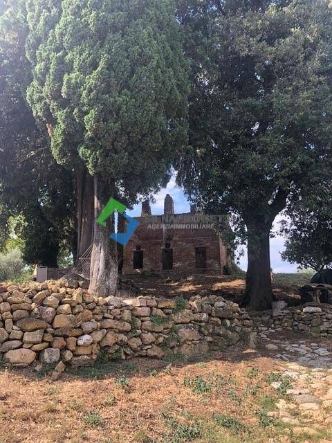 Rustico / casale a San gimignano in SP47 - Foto 5