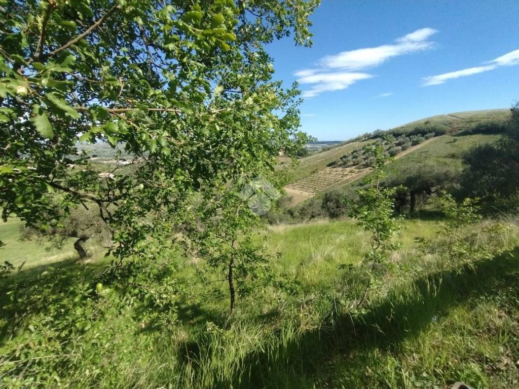 Terreno a Montesilvano in via valle rosa, 3 - Foto 4