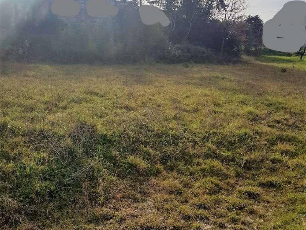 Terreno a Polverigi - Foto 3