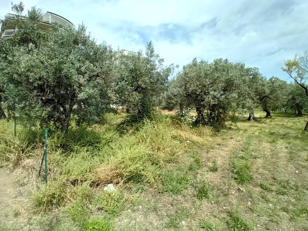 Terreno a Vasto in Via del Porto - Foto 4