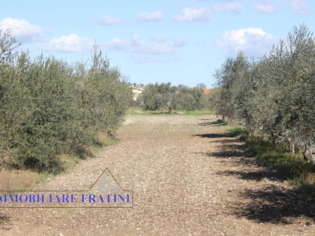 Terreno a Sant'egidio alla vibrata in Via Puccini - Foto 2