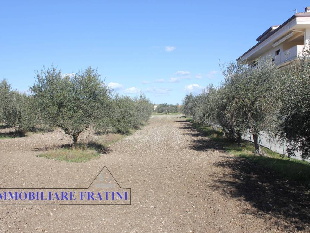 Terreno a Sant'egidio alla vibrata in Via Puccini - Foto 3