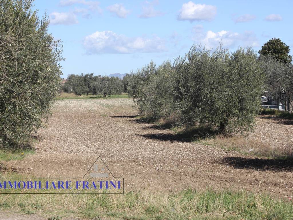 Terreno a Sant'egidio alla vibrata in Via Puccini - Foto 5