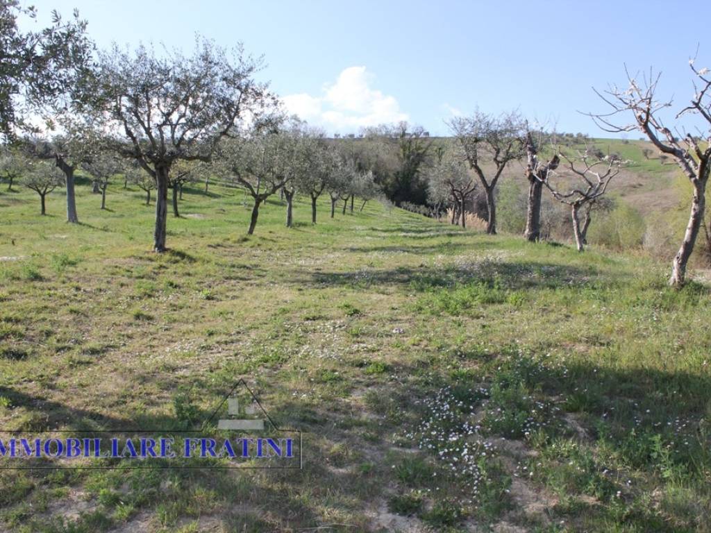 Terreno a Sant'egidio alla vibrata in Faraone - Foto 2