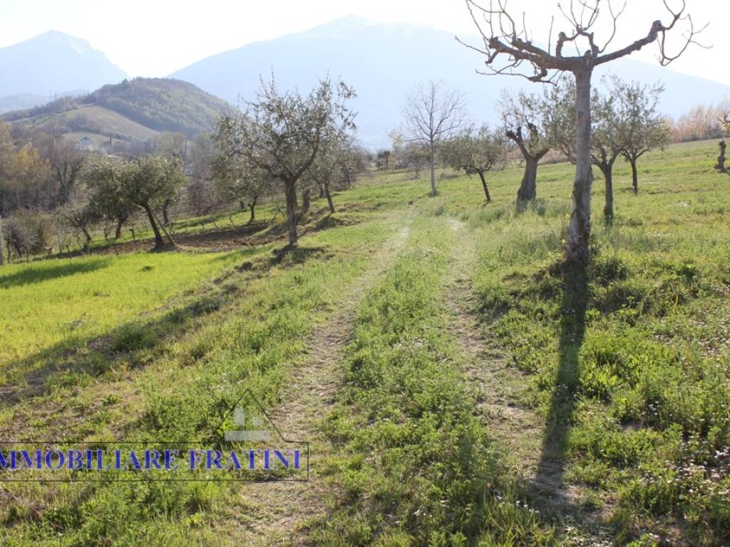 Terreno a Sant'egidio alla vibrata in Faraone - Foto 3