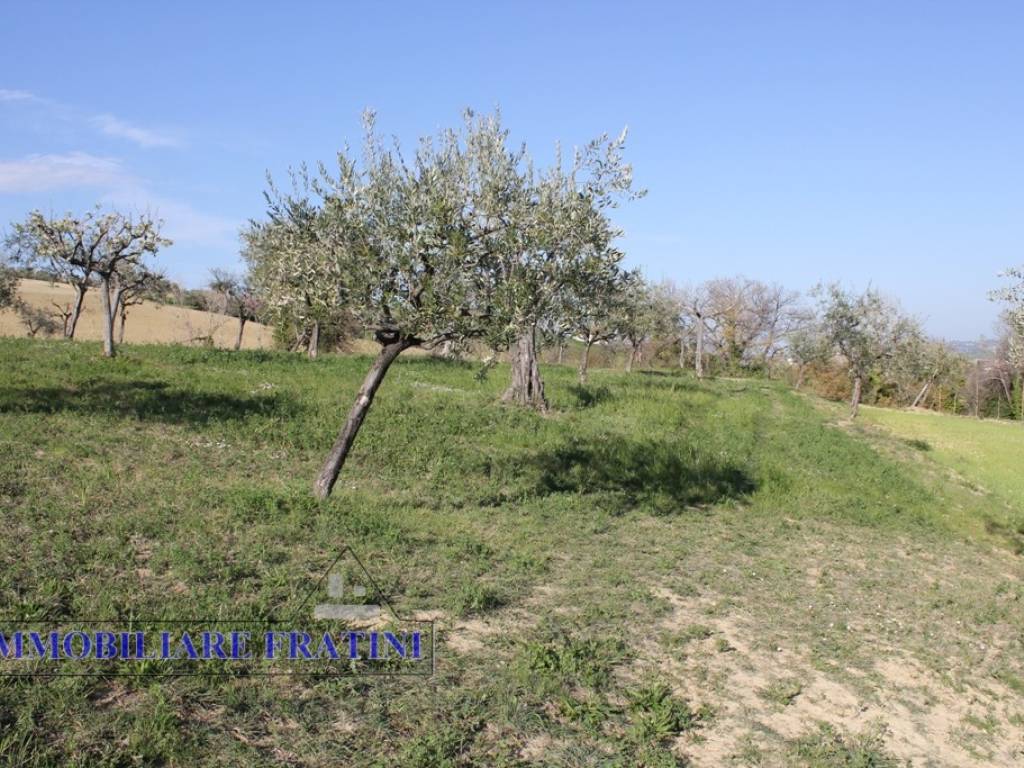 Terreno a Sant'egidio alla vibrata in Faraone - Foto 4