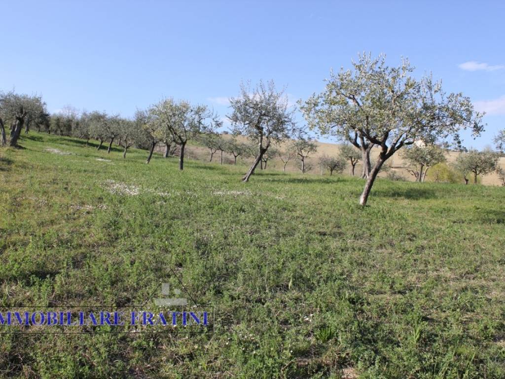 Terreno a Sant'egidio alla vibrata in Faraone - Foto 5