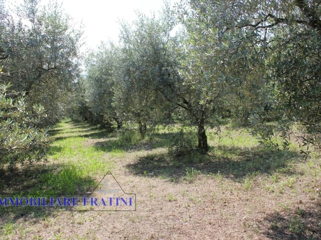 Terreno a Colli del tronto in Via Villa Morganti - Foto 2