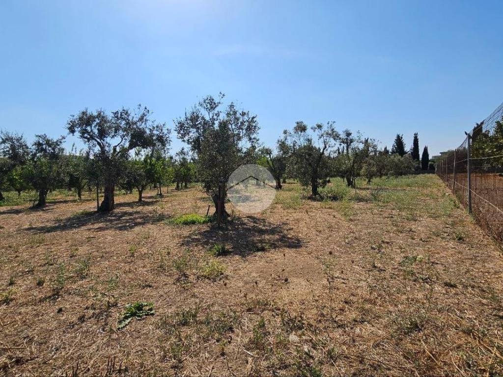 Terreno a Nardò in Via Vittorio de Sica, 12 - Foto 2