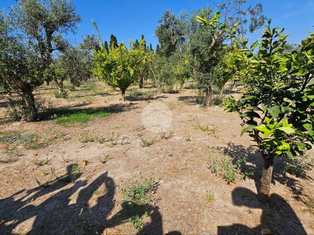Terreno a Nardò in Via Vittorio de Sica, 12 - Foto 4