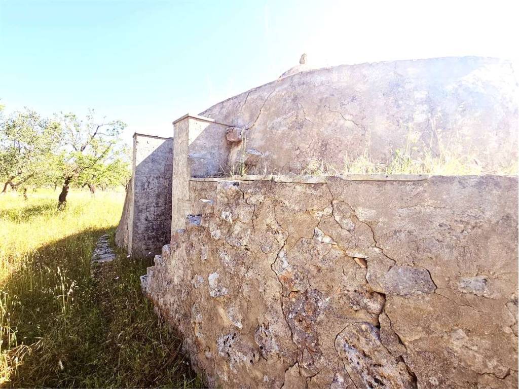Rustico / casale a Carovigno - Foto 3