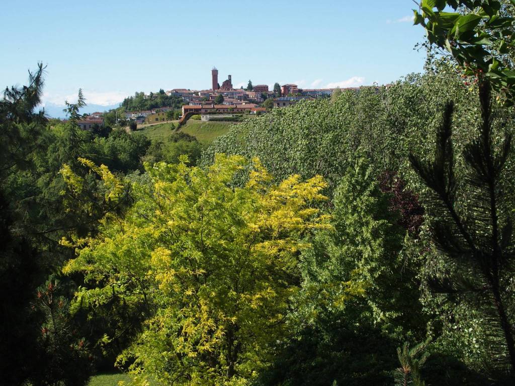 Villa a Vigliano d'asti - Foto 4