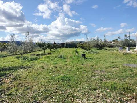 Villa a Augusta in Contrada Contadello - Foto 2