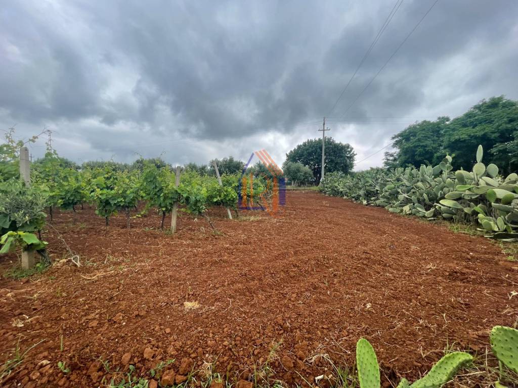 Terreno a Lamezia terme in Via Raoul Morelli - Foto 2
